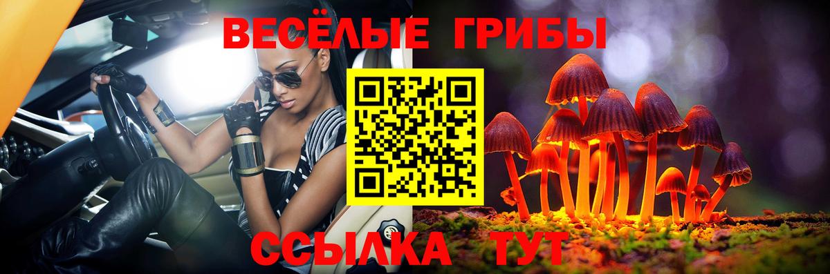 Галлюциногенные грибы GOLDEN TEACHER  Псилоцибиновые грибы GOLDEN TEACHER  Вход с VPN  Всеволожск 
